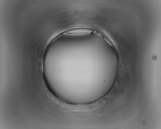 X0000090860011200708171614