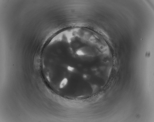 X0000090860012200708171614