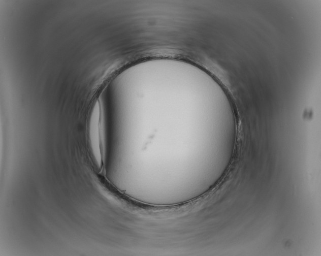 X0000090860013200708171614