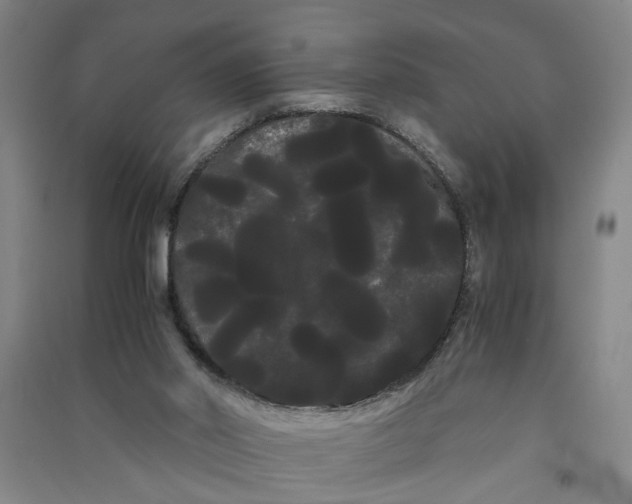 X0000090860014200708171614