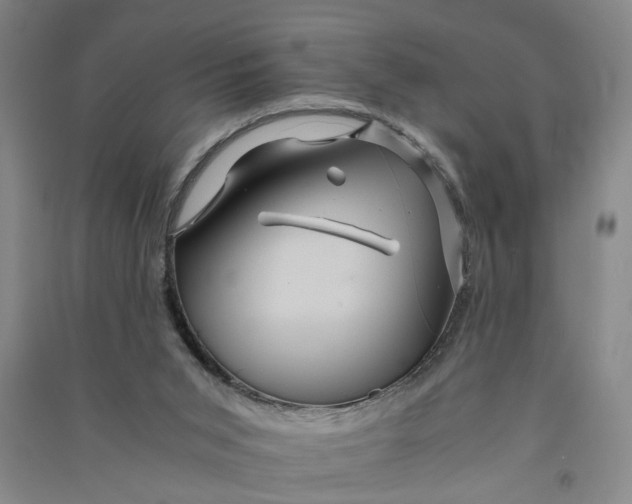 X0000090860015200708171614
