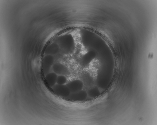 X0000090860016200708171614