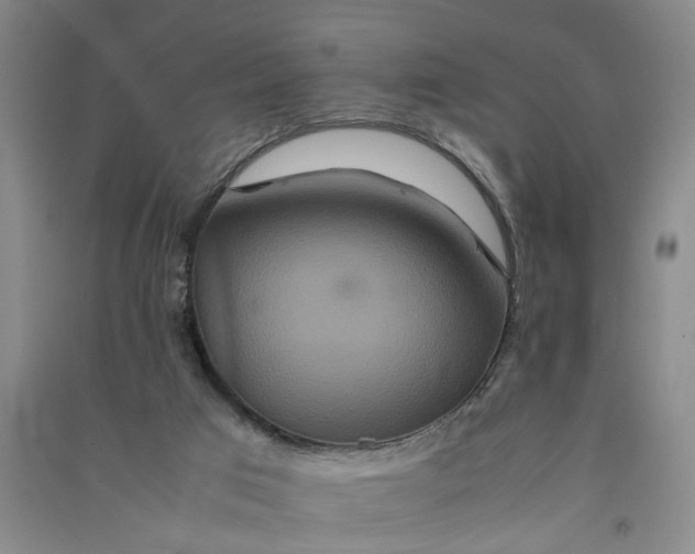 X0000090860017200708171614