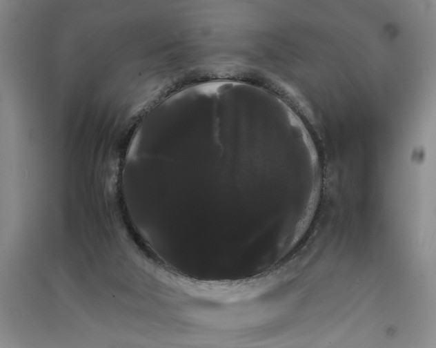 X0000090860018200708171614