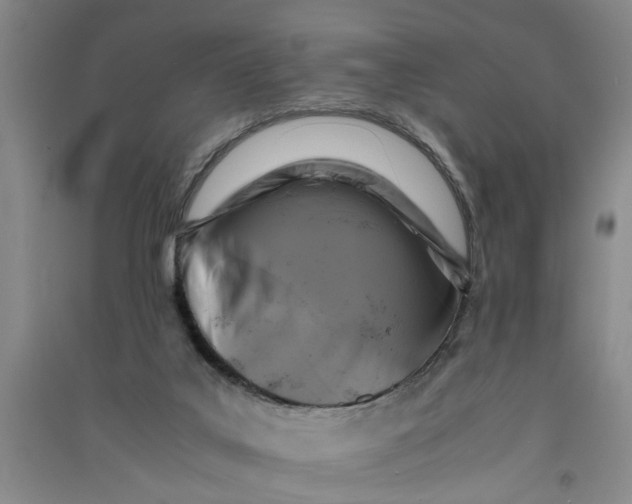 X0000090860019200708171614