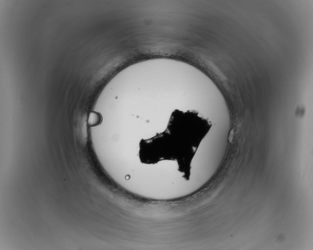 X0000090860020200708171614