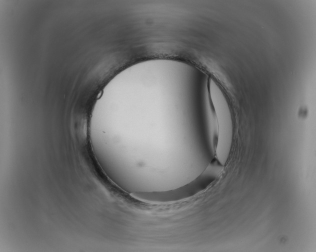 X0000090860021200708171614