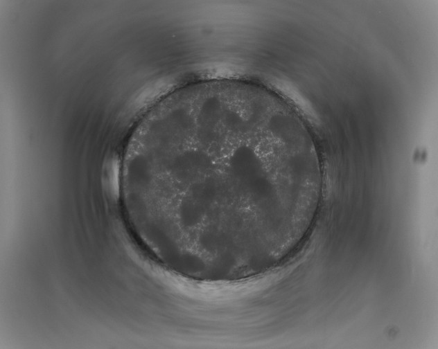 X0000090860022200708171614