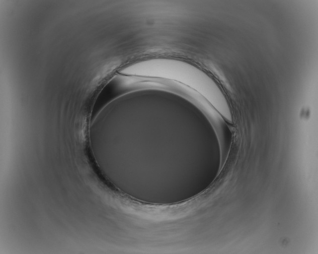 X0000090860023200708171614