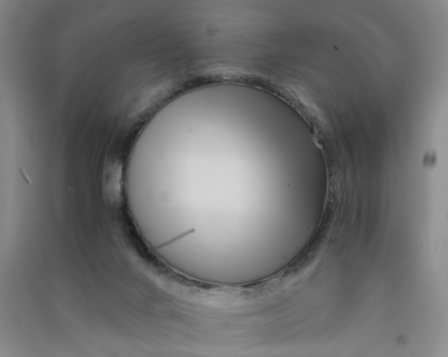 X0000090860024200708171614