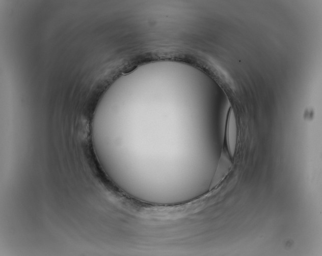 X0000090860025200708171614