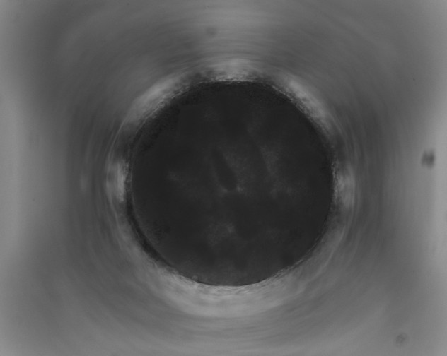 X0000090860026200708171614