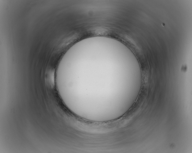 X0000090860028200708171614