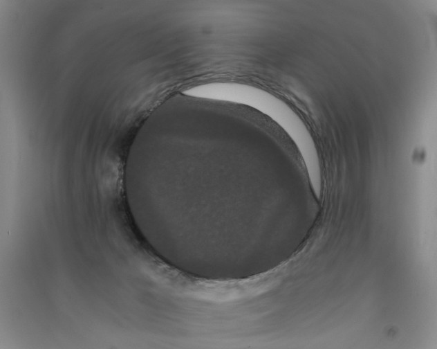 X0000090860029200708171614