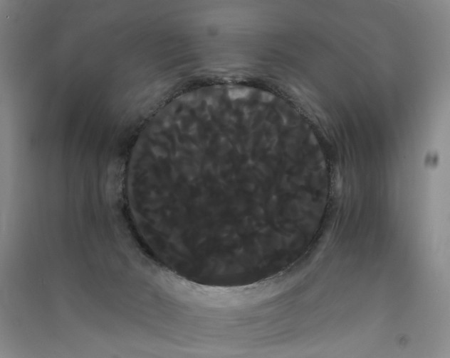 X0000090860030200708171614