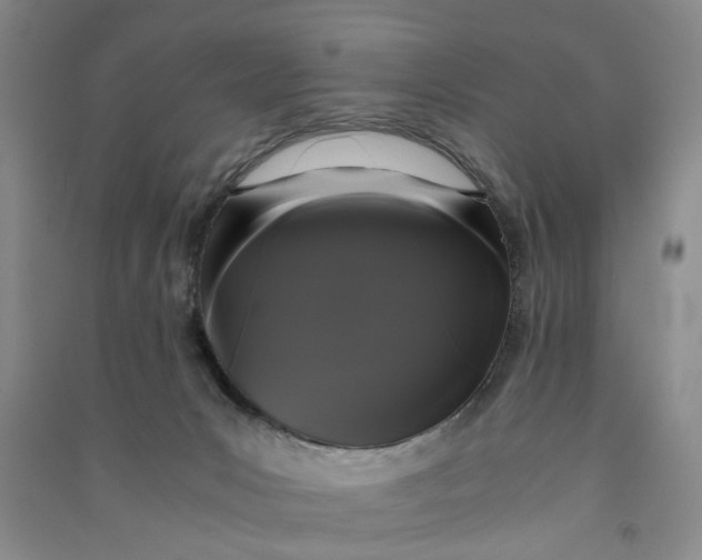 X0000090860031200708171614