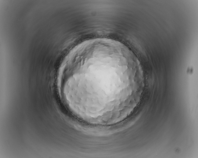 X0000090860032200708171614