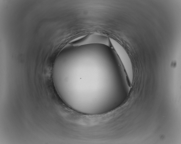 X0000090860033200708171614