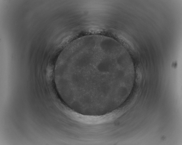 X0000090860034200708171614