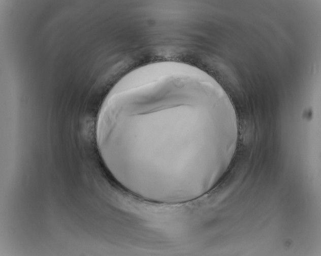 X0000090860036200708171614
