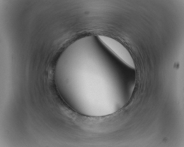 X0000090860037200708171614