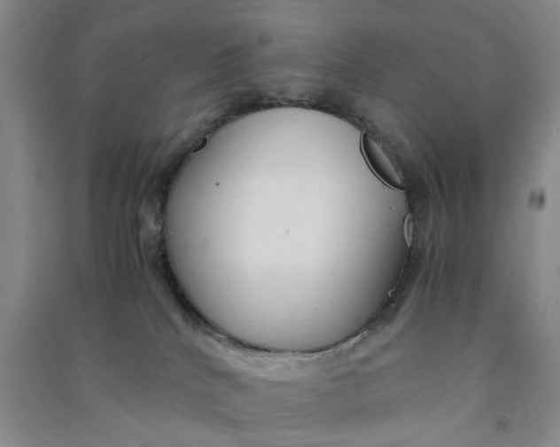 X0000090860040200708171614