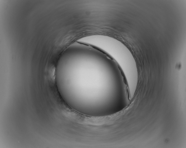 X0000090860041200708171614