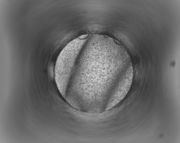 X0000090860042200708171614