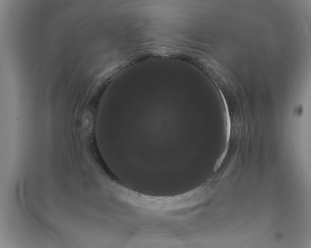 X0000090860043200708171614
