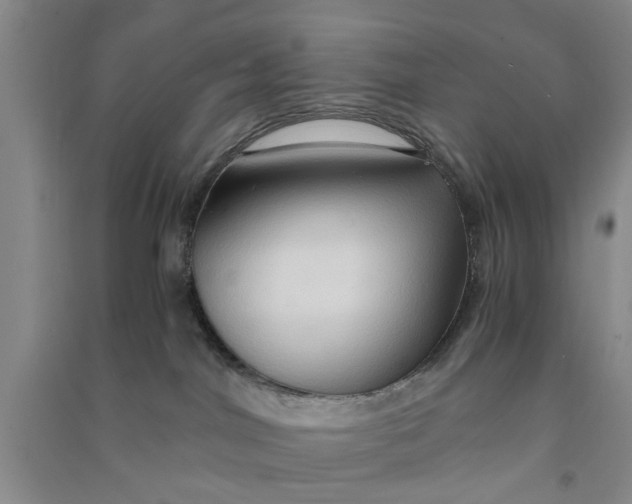 X0000090860044200708171614