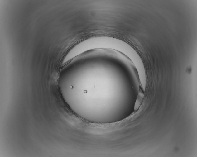 X0000090860045200708171614