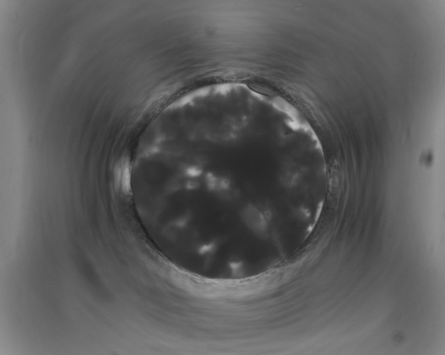 X0000090860046200708171614