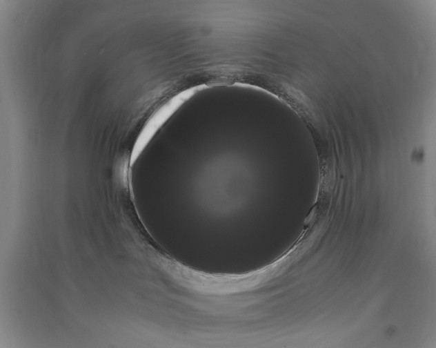 X0000090860047200708171614