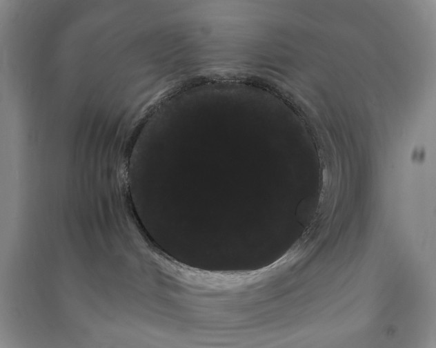 X0000090860048200708171614