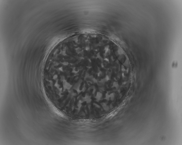 X0000090860049200708171613