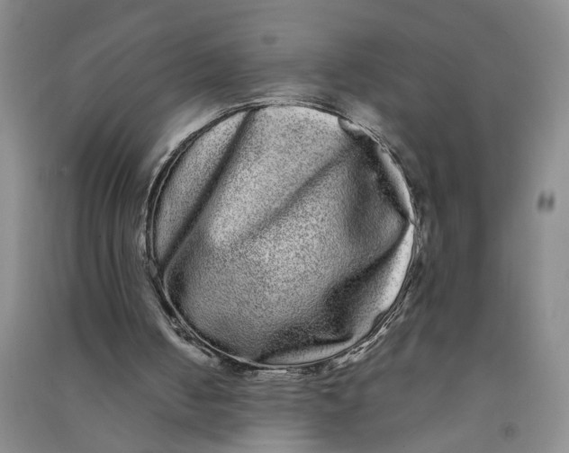 X0000090860050200708171613