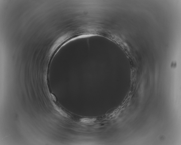 X0000090860051200708171613