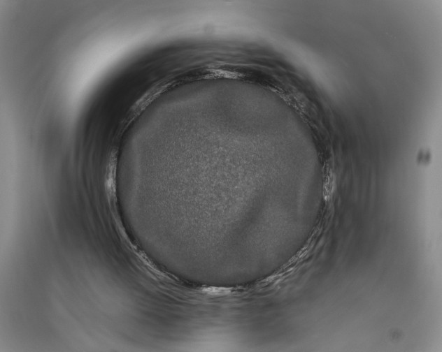 X0000090860052200708171613
