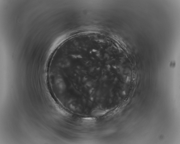 X0000090860053200708171613