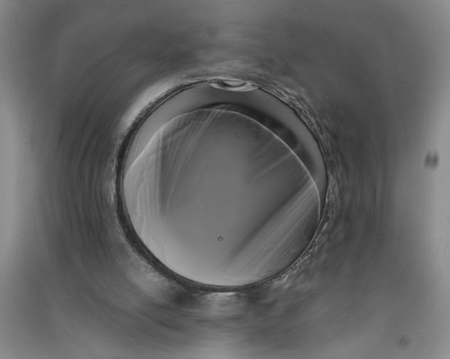 X0000090860054200708171613