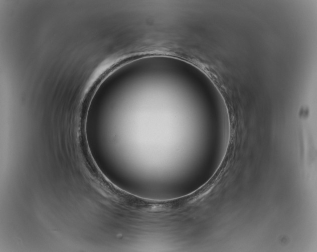 X0000090860056200708171613