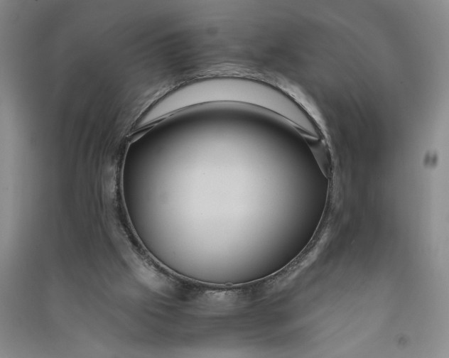 X0000090860057200708171613