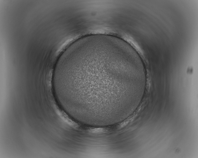 X0000090860058200708171613