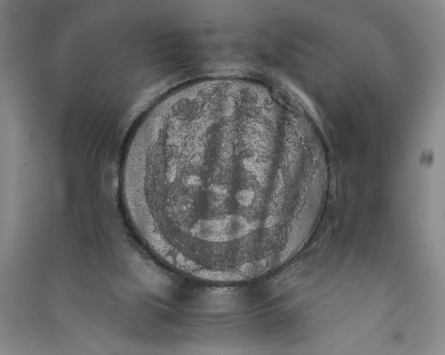 X0000090860059200708171613