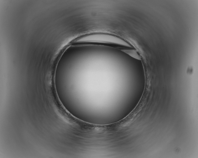 X0000090860060200708171613