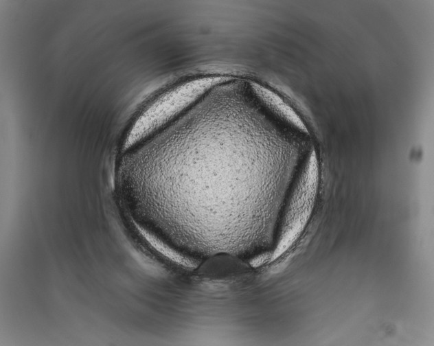 X0000090860062200708171613