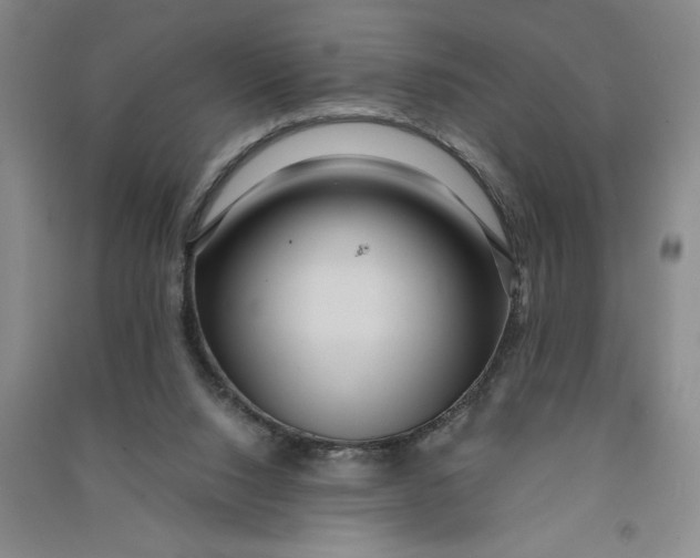 X0000090860064200708171613