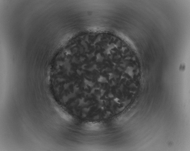 X0000090860065200708171613