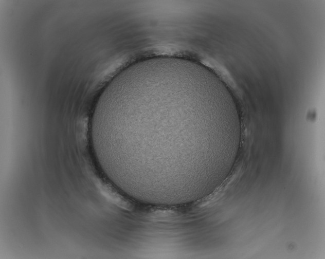 X0000090860066200708171613