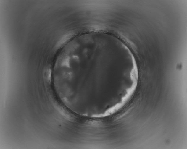 X0000090860067200708171613